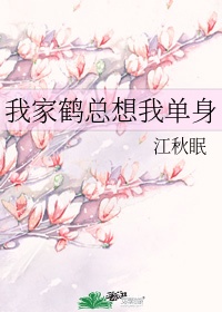 女婿的东西比老公的好用