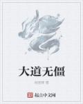 飞机场是什么意思