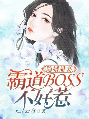 网红刘婷完整版 播放