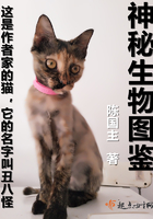 b23t猫咪