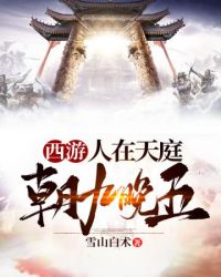 免费视频在线观看2024