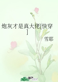 玫瑰花汽车宾馆3