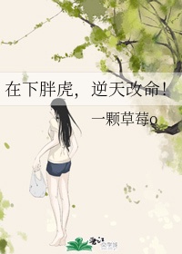 蕾丝百合h