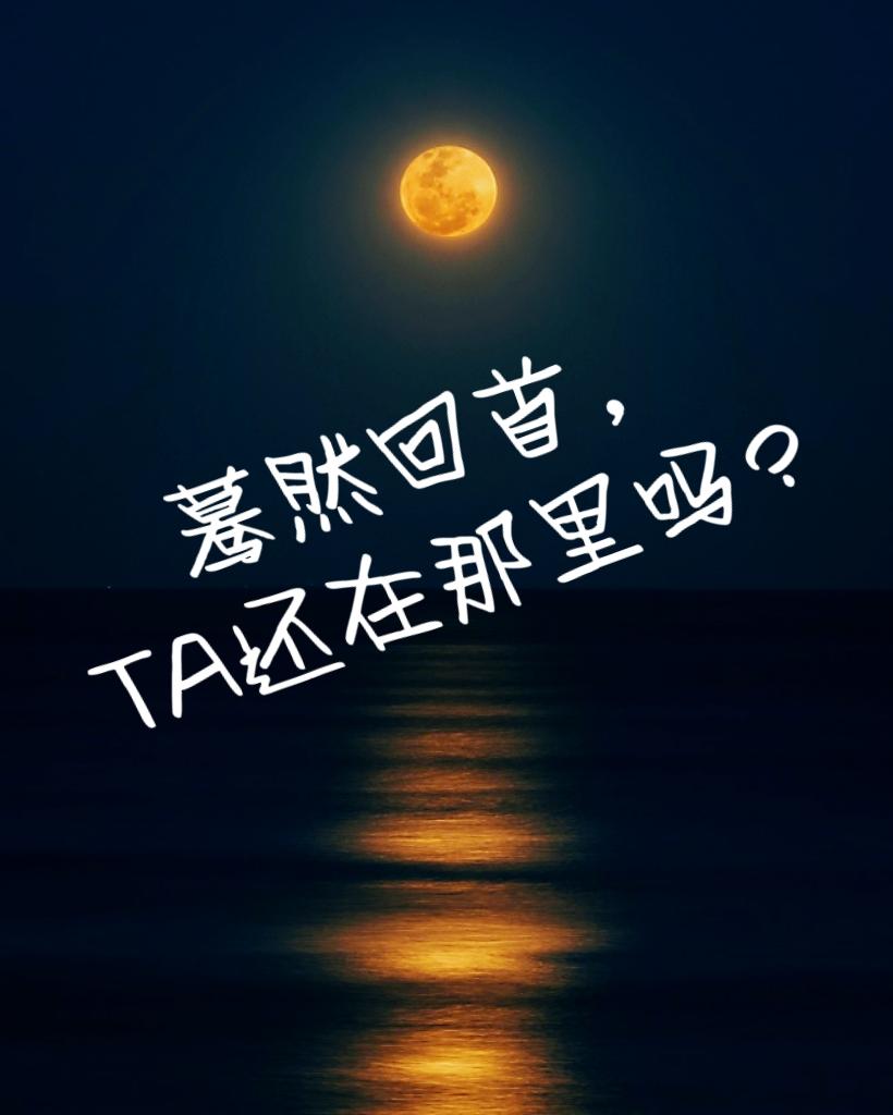 与爱同行txt