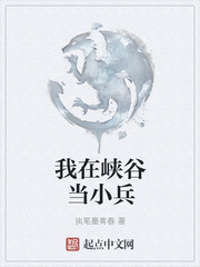 全职法师h文