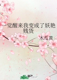 一生何求 兰思思