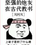 丝瓜视频安卓版