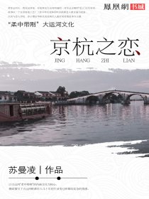 攀上漂亮女领导(小说)