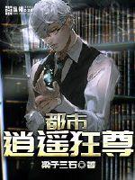 至尊神婿叶昊小说免费完整版