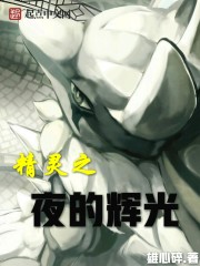 忍者大乱斗加强版