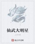 新扎师姐