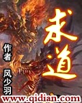 火炬之光2法师属性点