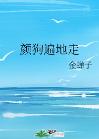 风吹半夏剧情介绍