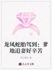 以婚为名臣年