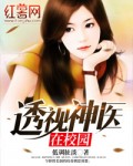 火箭少女101荒岛全文