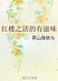 清穿康熙宠妃龙凤胎