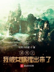 丰年经的继中文21