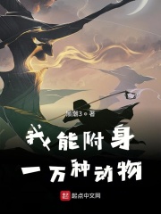 薛平贵与王宝钏1-55集