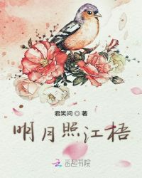 穿错年代的小军嫂[穿书]