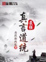 圣斗士勇闯12宫