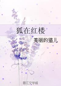 比翼鸟全彩漫画大全