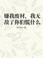 残霞辅助官网