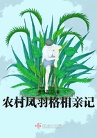 淘宝积分兑换