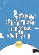 中文字幕森沢在线观看