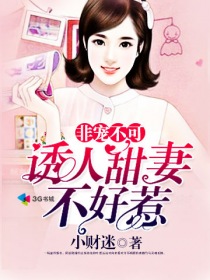 女朋友的母亲2