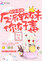 少女的心全文无删