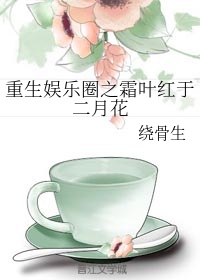 布拉芙夫人完整版