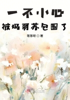 菠萝菠萝蜜在线观看7