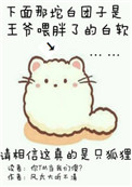 官场荒唐猎艳妇