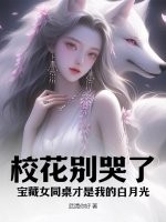 钢铁的魔女动漫