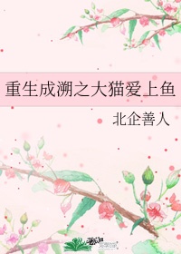 情深深雨蒙蒙全集免费观看