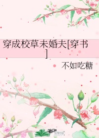 精打细算花满筛讲了什么