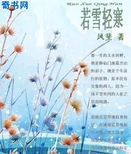 种子下载器