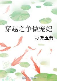 24小时最新更新免费