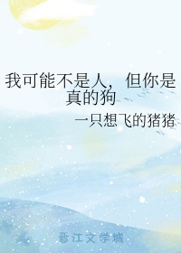 调皮王妃酷王爷