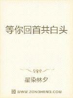 最强医仙混都市txt全集下载