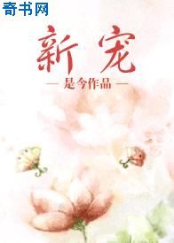 激情丛林无删减版dvd