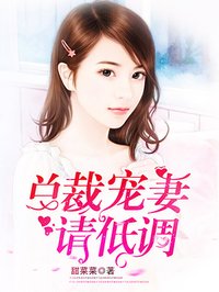 肉版杨门女将大战何春小说