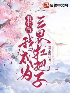 梦幻模拟战王女与战神