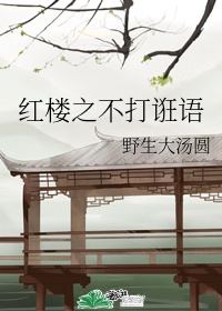 男按摩师给我阴部按摩