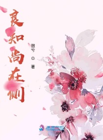 长今的花园电视剧