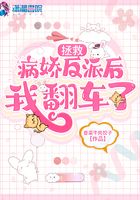 秘密女搜查官系列