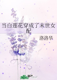 海贼王小游戏