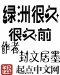 南方大作战