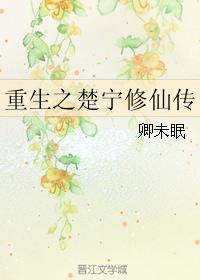 氙灯