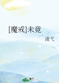 全职法师第三季